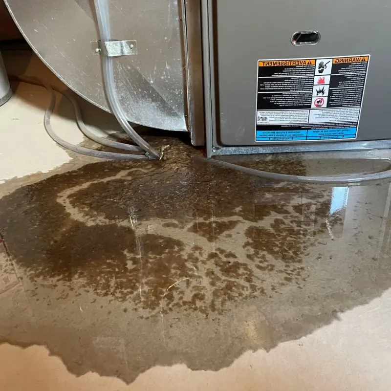 Pipe Burst and Leak Restoration in Carnuel, NM