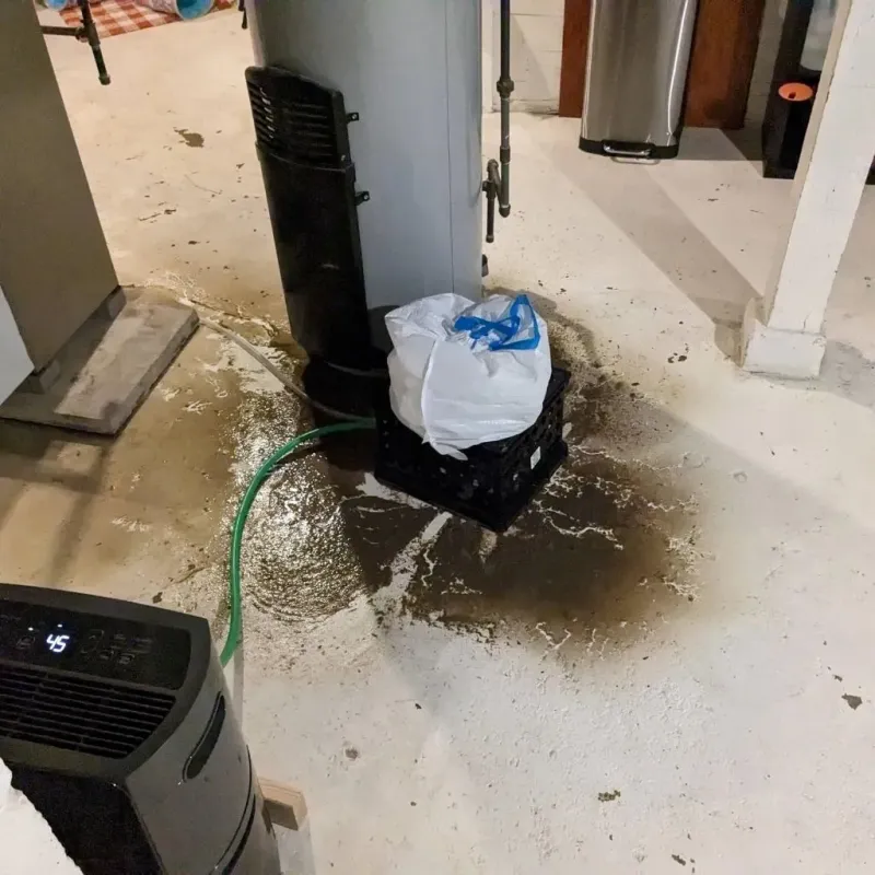 Sewage Backup Cleanup Service in Carnuel, NM